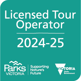 Licensed Tour Operator